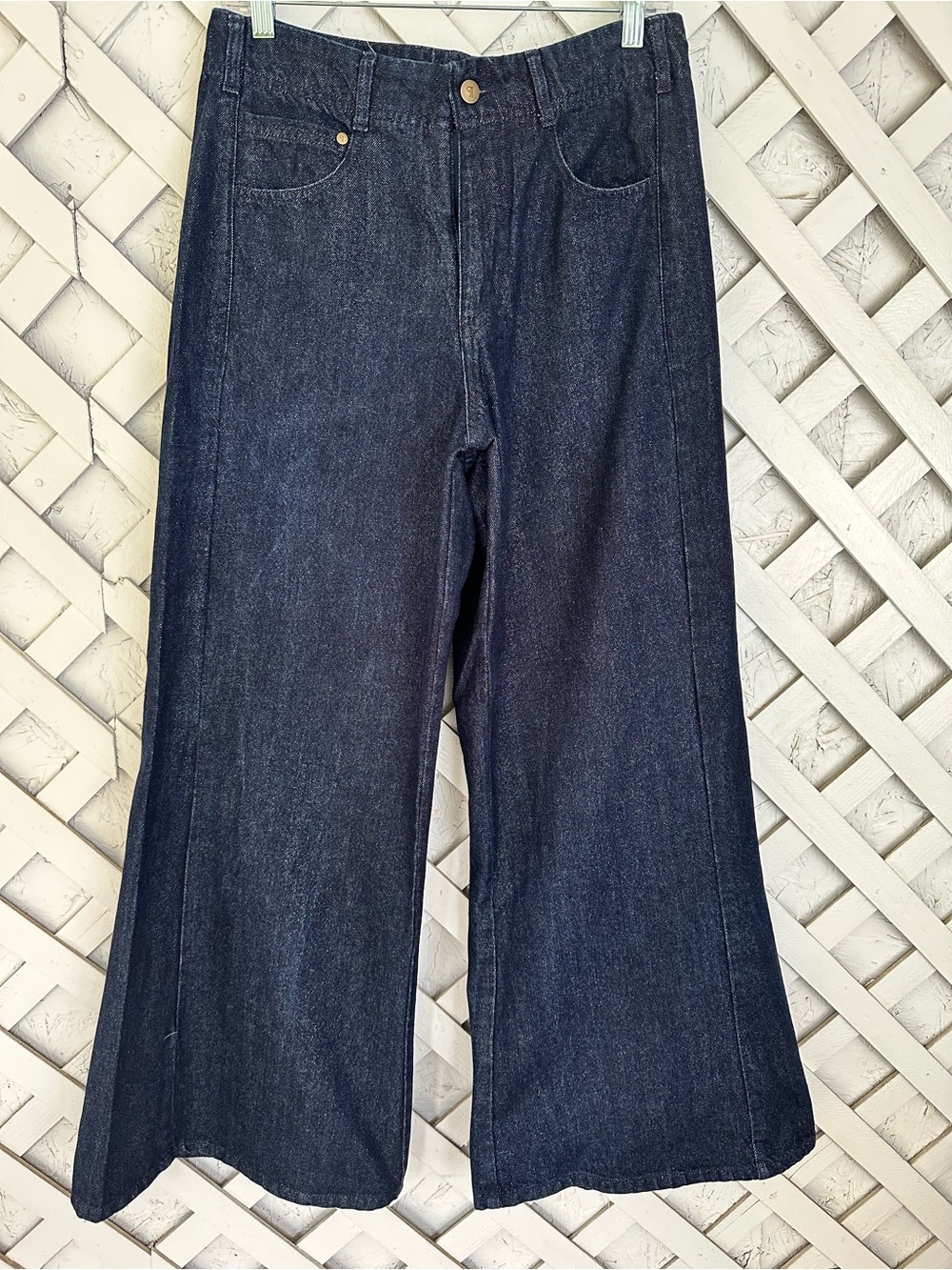 The Adi Mid-Rise Relaxed Flare Pants by Pilcro: Sparkle Edition size 28 - Picture 5 of 15